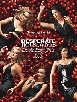 绝望主妇 第二季