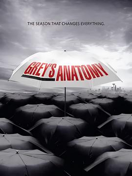 实习医生格蕾 第六季