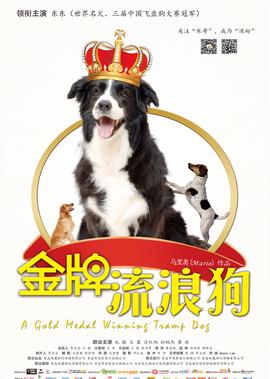 金牌流浪狗