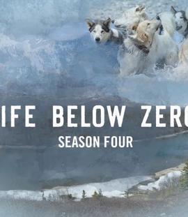 零度以下的生活第四季