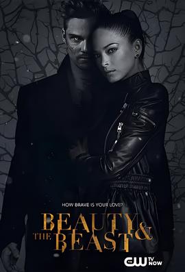 侠胆雄狮 第三季