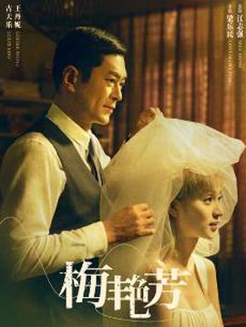 梅艳芳（剧集版）