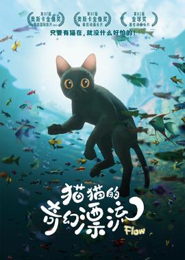 猫猫的奇幻漂流