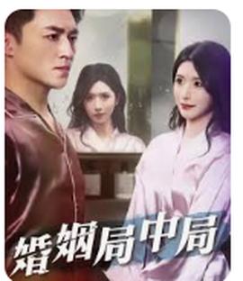 婚姻局中局